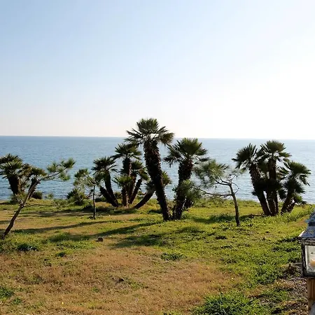 Apartman Le Palme *